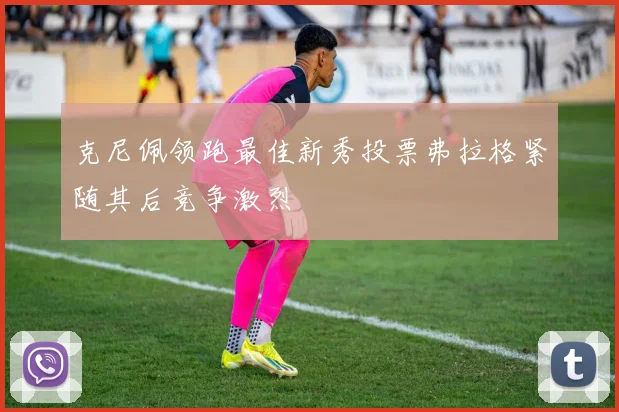 克尼佩领跑最佳新秀投票弗拉格紧随其后竞争激烈